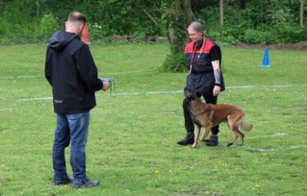 Concours canin d’obéissance