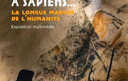 Exposition :  » De Toumaï à Sapiens »